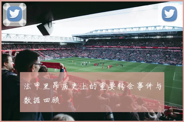 法甲里昂历史上的重要转会事件与数据回顾