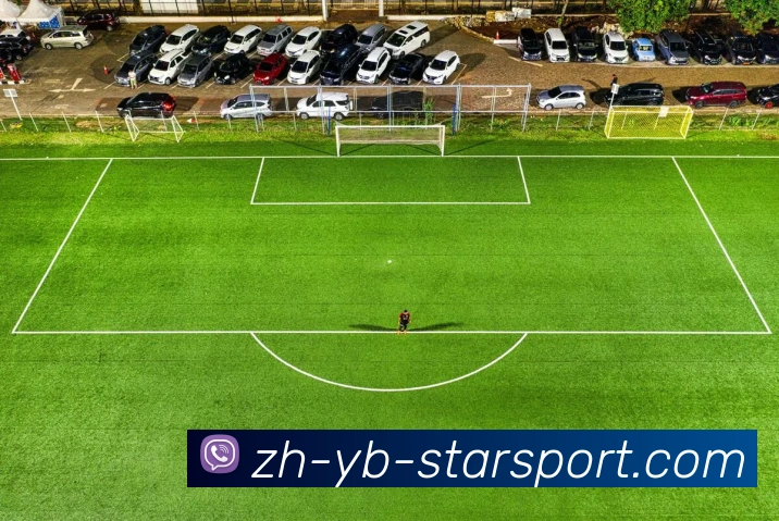 星空体育平台生态图