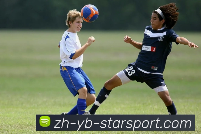 星空体育APP 封面图