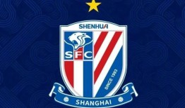 星空体育app-2008年中超联赛赛程历史回顾与经典赛事